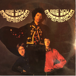 The Jimi Hendrix Experience Are You Experienced Vinyl LP USED