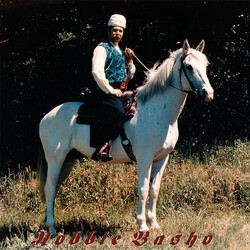 Robbie Basho Land Of Our Fathers (Rarities 1967-1983) Vinyl LP USED