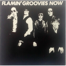 The Flamin' Groovies Now Vinyl LP USED