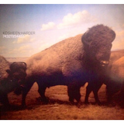 Kosheen Harder USED VINYL 12INCH 33 S RPM