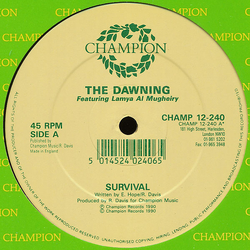 The Dawning / Lamya Al-Mugheiry Survival Vinyl 12" USED
