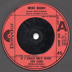 Mike Berry If I Could Only Make You Care Vinyl 7" USED