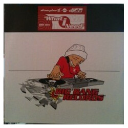 AtmospheriX / DJ ATX What I Need USED VINYL 12INCH