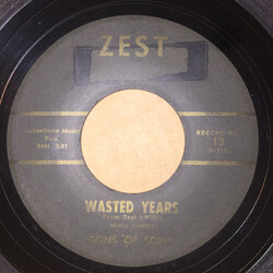 Sons Of Song Wasted Years USED VINYL 7INCH 45 RPM