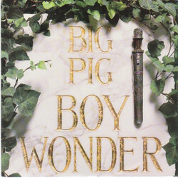 Big Pig Boy Wonder USED VINYL 7INCH 45 RPM SINGLE
