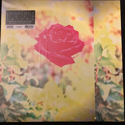 Lambchop Trip Vinyl LP USED