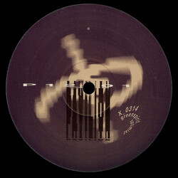 Pavilion (5) Optimist USED VINYL 12INCH 33 S RPM 45 RPM