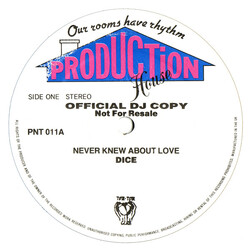 Floyd Dyce Never Knew About Love USED VINYL 12INCH 45 RPM PROMO