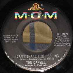 The Carmel I Can't Shake This Feeling / Let My Child Be Free Vinyl 7" USED