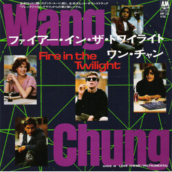 Wang Chung Fire In The Twilight VINYL 7" USED