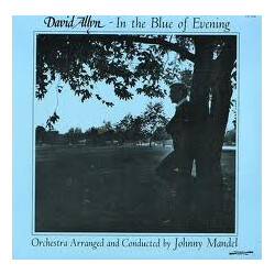 David Allyn In The Blue Of Evening Vinyl LP USED