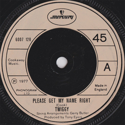 Twiggy (2) Please Get My Name Right Vinyl 7" USED