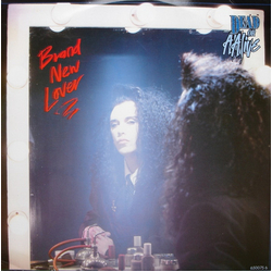 Dead Or Alive Brand New Lover Vinyl 12" USED