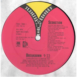 Seduction Breakdown Vinyl 12" USED