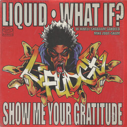 L-Fudge Liquid / What If? / Show Me Your Gratitude VINYL 12" USED