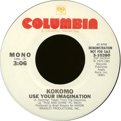 Kokomo Use Your Imagination Vinyl 7" USED
