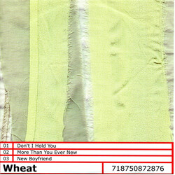 Wheat Don't I Hold You USED VINYL 7INCH 45 RPM SINGLE