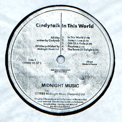 Cindytalk In This World Vinyl LP USED