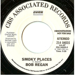 Bob Regan Smoky Places Vinyl 7" USED