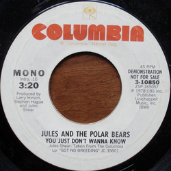 Jules And The Polar Bears You Just Don't Wanna Know Vinyl 7" USED