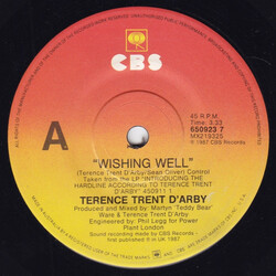 Terence Trent D'Arby Wishing Well USED VINYL 7INCH 45 RPM SINGLE
