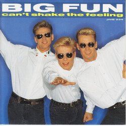 Big Fun Can't Shake The Feeling USED VINYL 7INCH 45 RPM SINGLE STEREO