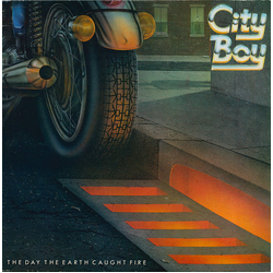 City Boy The Day The Earth Caught Fire Vinyl LP USED