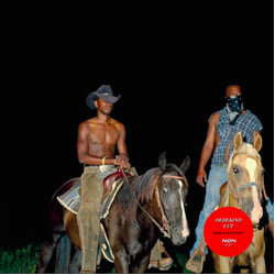 Dedekind Cut $uccessor Vinyl LP USED