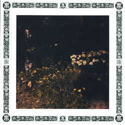 Sarah Davachi Pale Bloom Vinyl LP USED