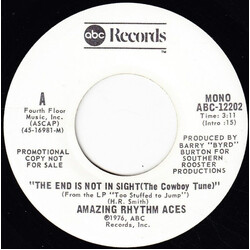The Amazing Rhythm Aces The End Is Not In Sight (The Cowboy Tune) USED VINYL 7INCH 45 RPM PROMO STEREO MONO