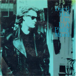 Daryl Hall I'm In A Philly Mood Vinyl 7" USED