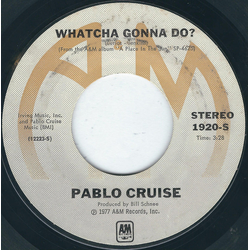 Pablo Cruise Whatcha Gonna Do? Vinyl 7" USED