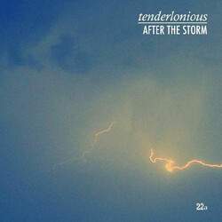 Tenderlonious After The Storm USED VINYL 12INCH EP