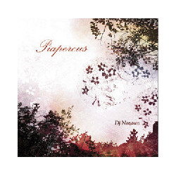 Dj Nozawa Piapercus USED VINYL 7INCH 33 S RPM