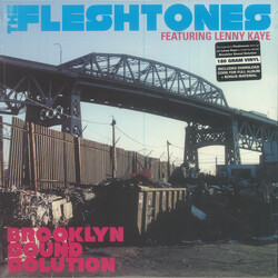 The Fleshtones / Lenny Kaye Brooklyn Sound Solution Vinyl LP USED