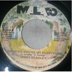 James Bradley (2) Let's Do It Together USED VINYL 7INCH 45 RPM