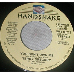 Terry Gregory You Don't Own Me USED VINYL 7INCH 45 RPM PROMO
