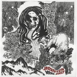 Destruction Unit Void Vinyl LP USED