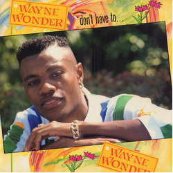 Wayne Wonder Don't Have To... Vinyl LP USED