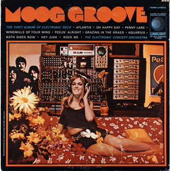 Electronic Concept Orchestra Moog Groove Vinyl LP USED