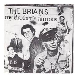 The Brians My Brother's Famous USED VINYL 7INCH SINGLE 45 RPM