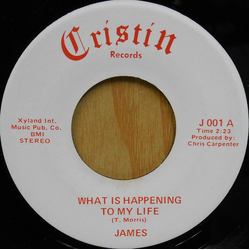 James (29) What Is Happening To My Life / Moonset Vinyl 7" USED