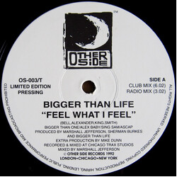 Bigger Than Life Feel What I Feel / High And Mighty USED VINYL 12INCH 33 S RPM LIMITED EDITION