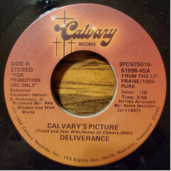 Deliverance (23) Calvary's Picture USED VINYL 7INCH 45 RPM PROMO