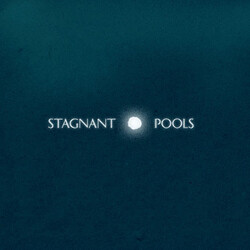 Stagnant Pools Temporary Room Vinyl LP USED