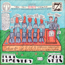 The Pro-Teens (2) Full Recovery / Cold Vein USED VINYL 7INCH LIMITED EDITION