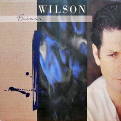 Brian Wilson Brian Wilson Vinyl LP USED