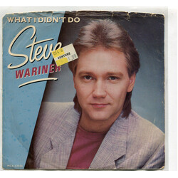 Steve Wariner What I Didn't Do USED VINYL 7INCH 45 RPM