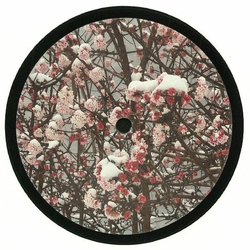 Mokona Love In Restricted Areas Vinyl 12" USED