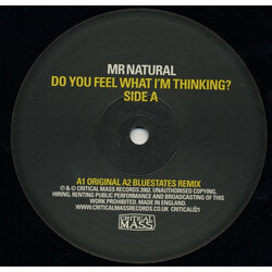 Mr. Natural Do You Feel What I'm Thinking? Vinyl 12" USED
